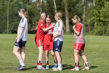 Bild 526 - wBJ Hamburger SV - Hertha BSC : Ergebnis: 5:2